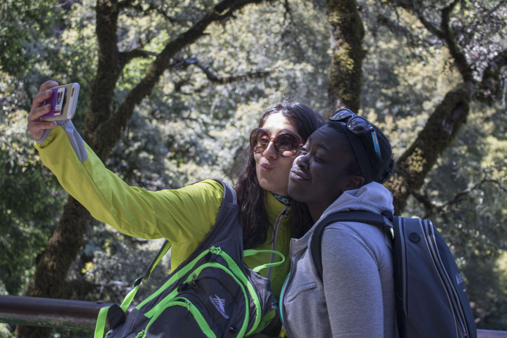 Picture of 160430 Castle Rock Hike